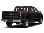 2019 Ford F 150 XLT