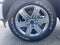 2019 Ford F-150 4WD XLT