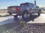 2023 Ford F-150 4WD XLT