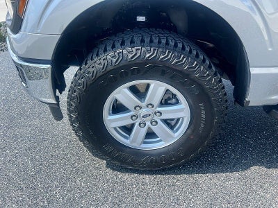 2024 Ford F-150 XL