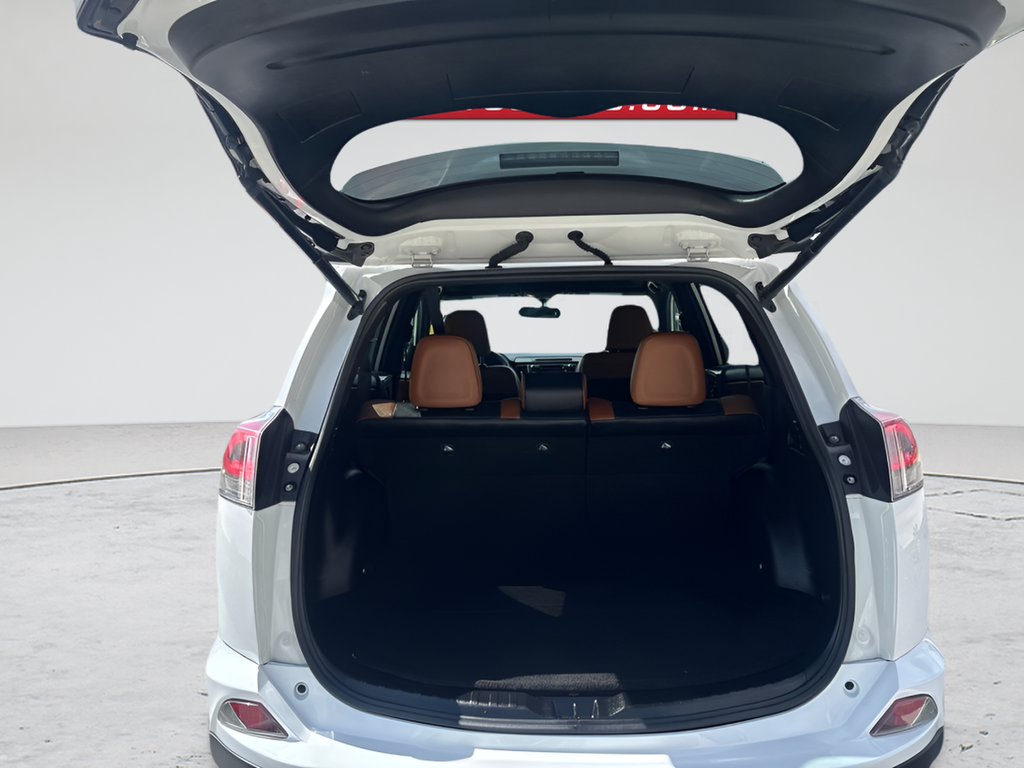 2016 Toyota RAV4 SE