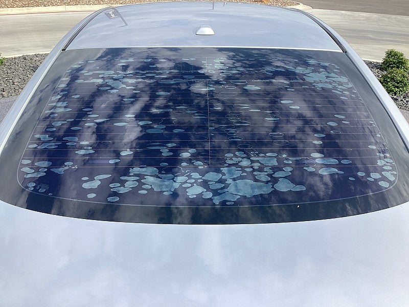 2017 Nissan Sentra NISMO