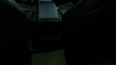 2021 Tesla Model 3 Performance