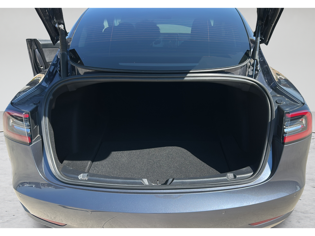 2021 Tesla Model 3 Performance